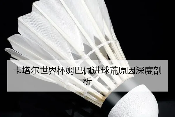 卡塔尔世界杯姆巴佩进球荒原因深度剖析